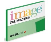 Xerografick papr Coloraction A4, 80 g, syt zelen/Dublin
